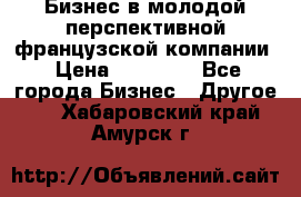 Бизнес в молодой перспективной французской компании › Цена ­ 30 000 - Все города Бизнес » Другое   . Хабаровский край,Амурск г.